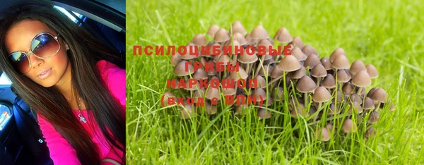 дживик Алексин