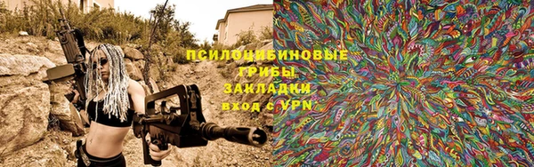 шишки Алзамай